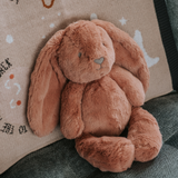 Stuffed Animals | Soft Plush Toys | Dusty Pink Bunny- Bella Bunny Huggie