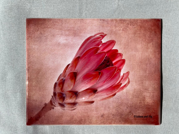 Medium Tile -  Single Protea (25cm x 20cm)